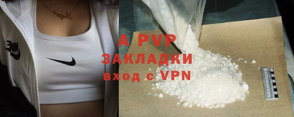 PSILOCYBIN Новодвинск