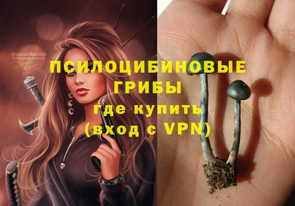 мдпв Новозыбков