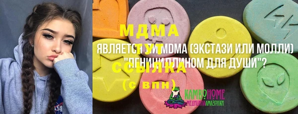 мдпв Новозыбков