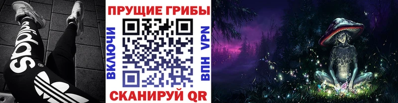 наркотики  Исилькуль  Галлюциногенные грибы Cubensis 